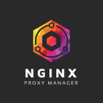 [Nginx Proxy Manager] Thiết lập chứng chỉ bảo mật Wildcard SSL cho subdomain